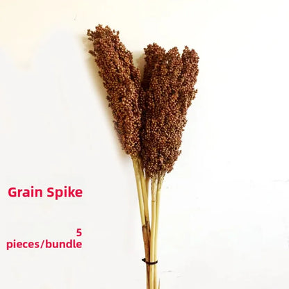 Red Sorghum Spike l Real Seed Dry Branch Flower Rural Household Tourism Decoration Harvest Festival Ornamental Crop