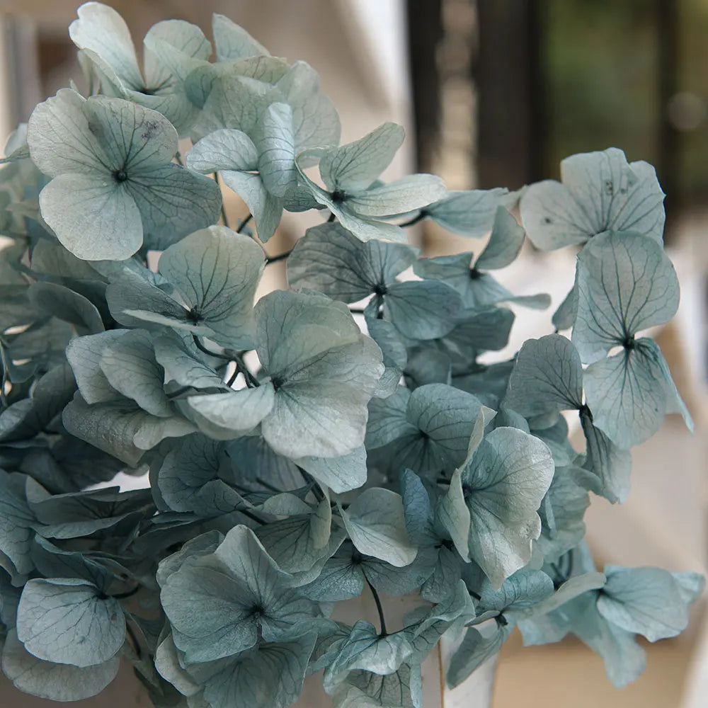 Big Petals Macrophylla Hydrangea Preserved Flower DIY Earrings and Scented Candles Material For Gutta Percha Resin Home Decor