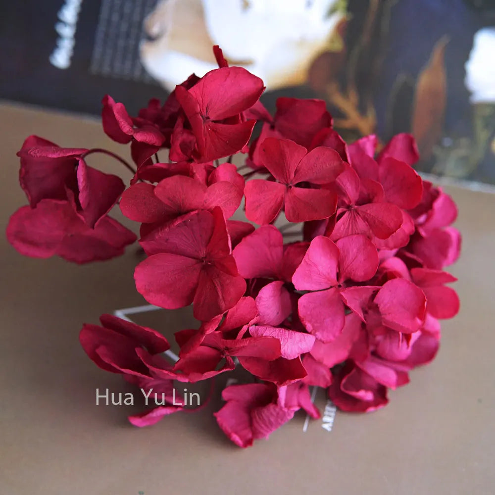 Big Petals Macrophylla Hydrangea Preserved Flower DIY Earrings and Scented Candles Material For Gutta Percha Resin Home Decor