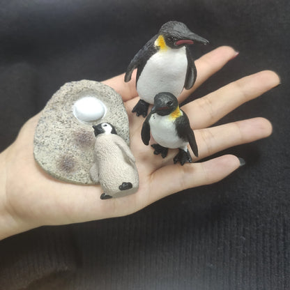 Children Simulation Biology Model Toy Animal Plant Life Growth Cycle Montessori Children Toys Set Teaching Aids Educational Toys