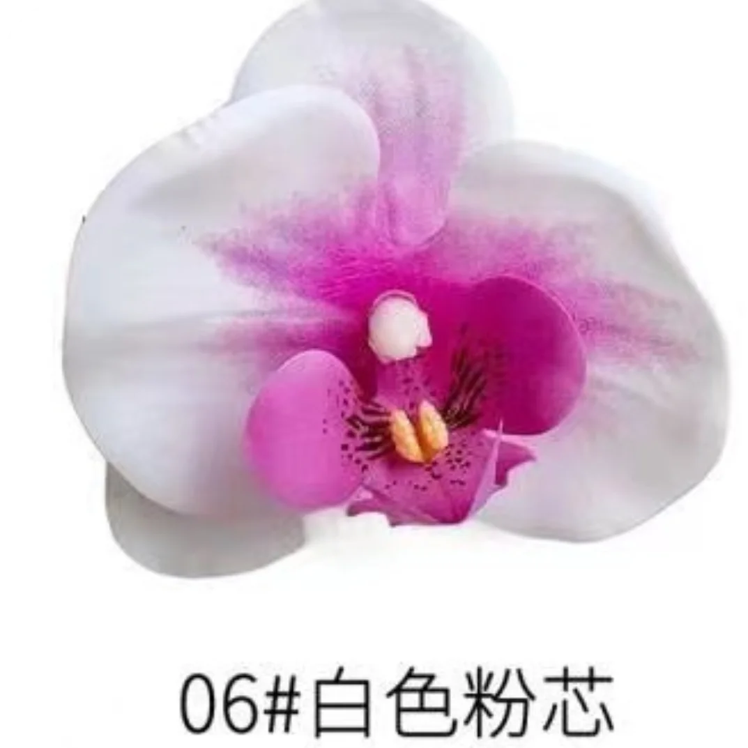 Phalaenopsis Plant flowers Handmade DIY, balcony decoration.Clivia gift