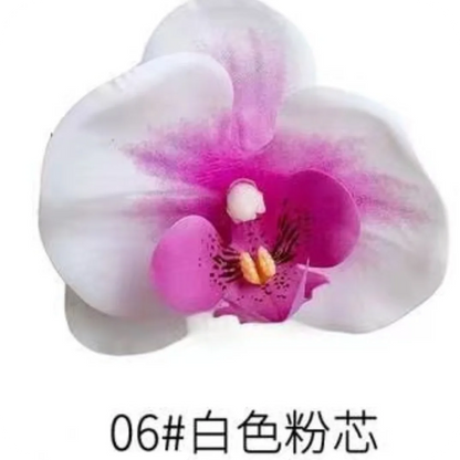 Phalaenopsis Plant flowers Handmade DIY, balcony decoration.Clivia gift