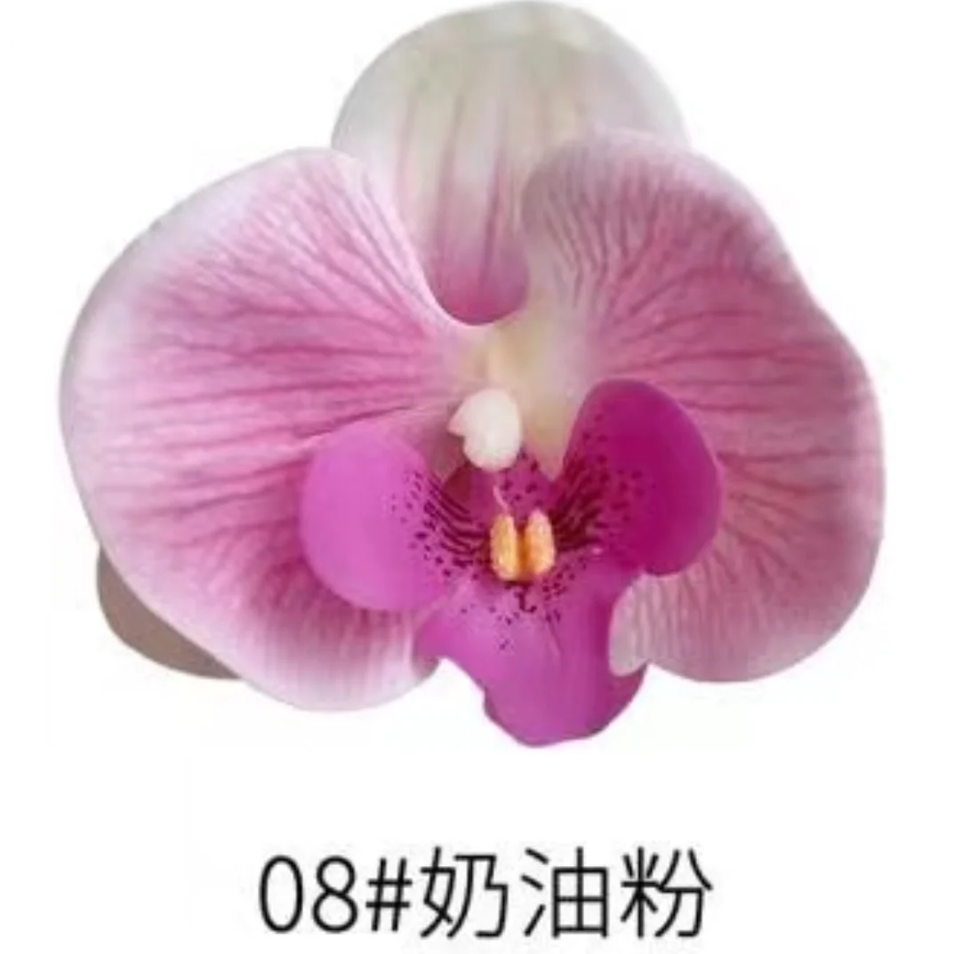 Phalaenopsis Plant flowers Handmade DIY, balcony decoration.Clivia gift