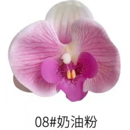 Phalaenopsis Plant flowers Handmade DIY, balcony decoration.Clivia gift