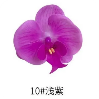 Phalaenopsis Plant flowers Handmade DIY, balcony decoration.Clivia gift