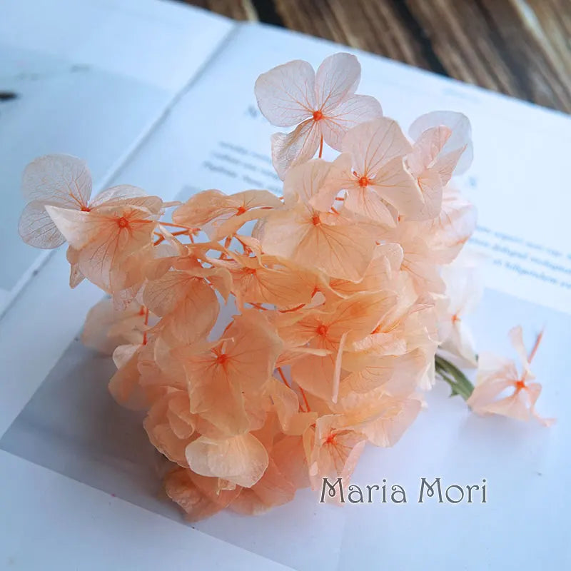 Big Petals Macrophylla Hydrangea Preserved Flower DIY Earrings and Scented Candles Material For Gutta Percha Resin Home Decor