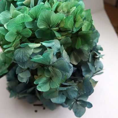 Big Petals Macrophylla Hydrangea Preserved Flower DIY Earrings and Scented Candles Material For Gutta Percha Resin Home Decor