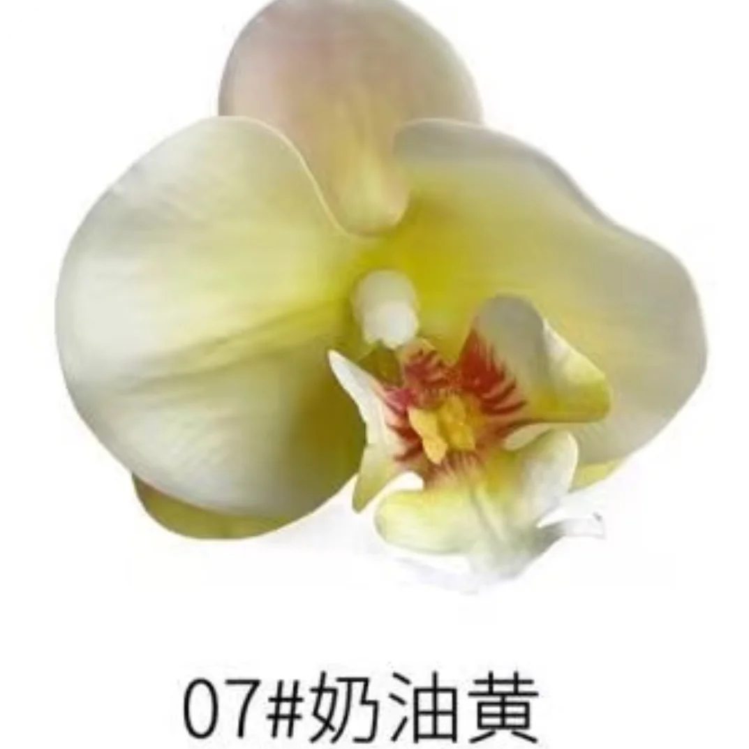 Phalaenopsis Plant flowers Handmade DIY, balcony decoration.Clivia gift