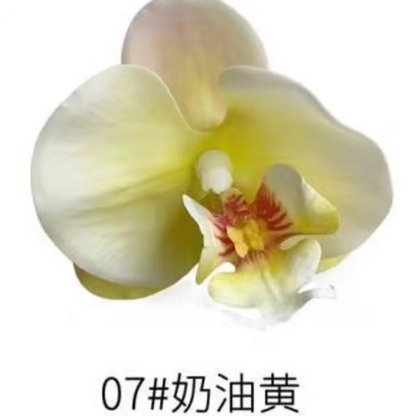 Phalaenopsis Plant flowers Handmade DIY, balcony decoration.Clivia gift