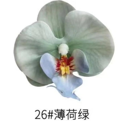 Phalaenopsis Plant flowers Handmade DIY, balcony decoration.Clivia gift