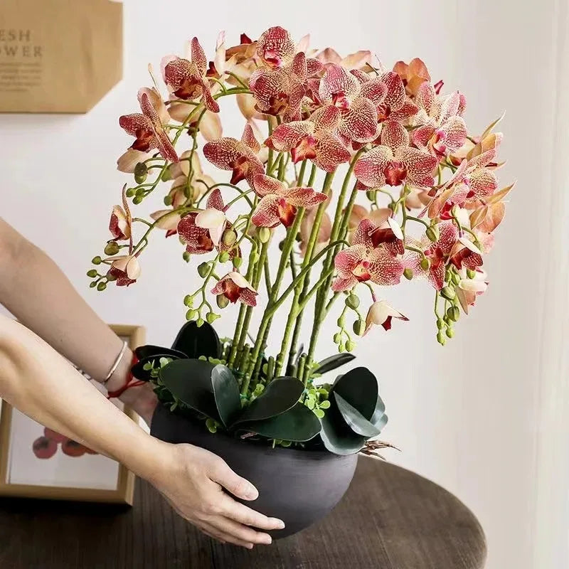 Phalaenopsis Plant flowers Handmade DIY, balcony decoration.Clivia gift