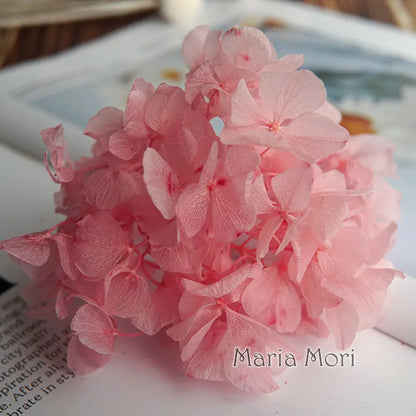 Big Petals Macrophylla Hydrangea Preserved Flower DIY Earrings and Scented Candles Material For Gutta Percha Resin Home Decor