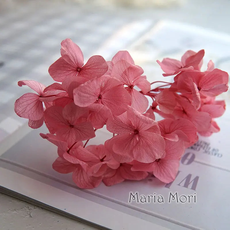 Big Petals Macrophylla Hydrangea Preserved Flower DIY Earrings and Scented Candles Material For Gutta Percha Resin Home Decor