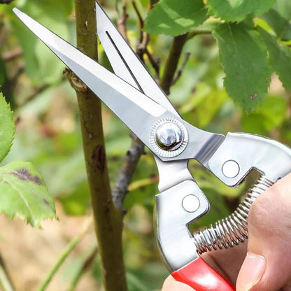 Stainless Steel Pruning Scissors Gardening Scissors Household Fruit Picking Grape Scissors Garden Branch Pruning Tools