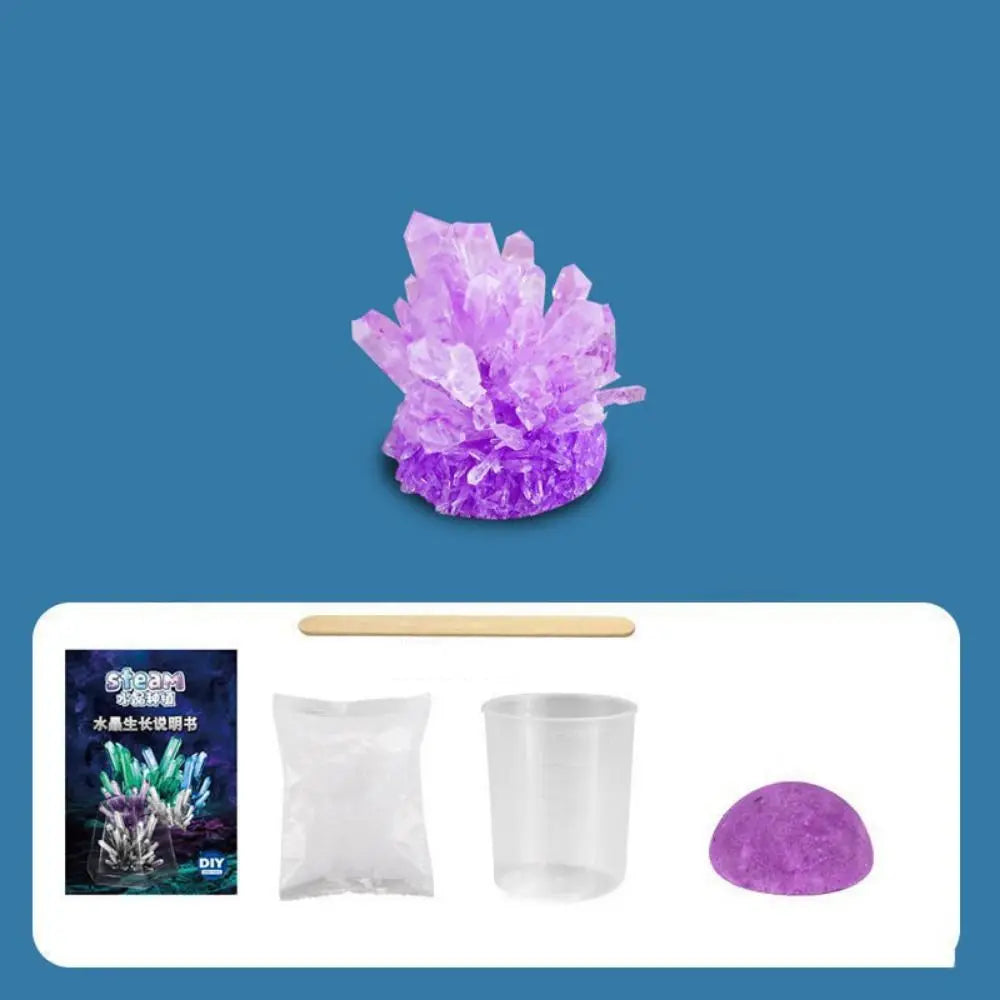 Display Cases Crystal Growing Kit Grow a Crystal Vibrant Colored Crystals DIY Educational Science Toys Easy-to-Follow Manual