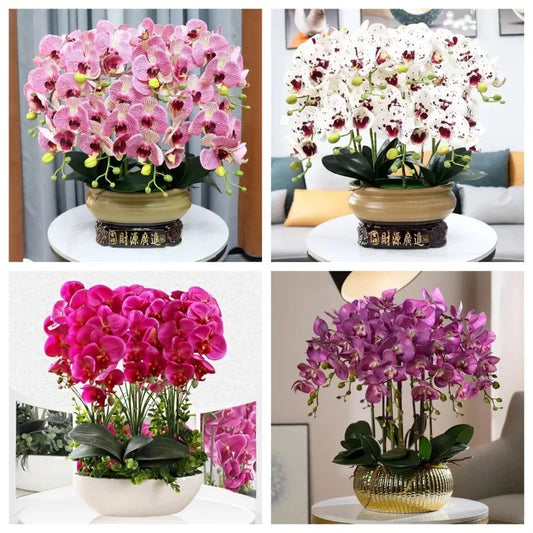 Phalaenopsis Plant flowers Handmade DIY, balcony decoration.Clivia gift