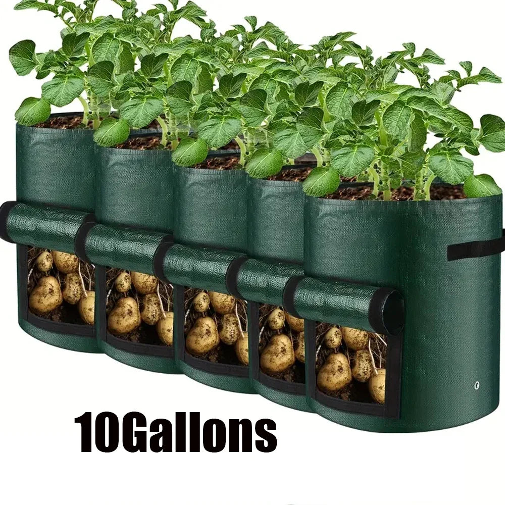 5PCs Garden Supplies Vegetable Plant Grow Bag Planting Container Bag Thicken Garden Pot  DIY Potato Grow Planter PE Cloth