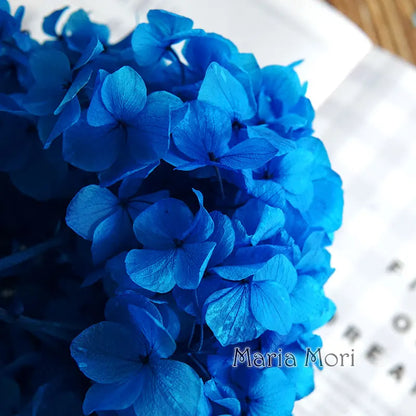 Big Petals Macrophylla Hydrangea Preserved Flower DIY Earrings and Scented Candles Material For Gutta Percha Resin Home Decor