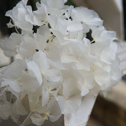 Big Petals Macrophylla Hydrangea Preserved Flower DIY Earrings and Scented Candles Material For Gutta Percha Resin Home Decor