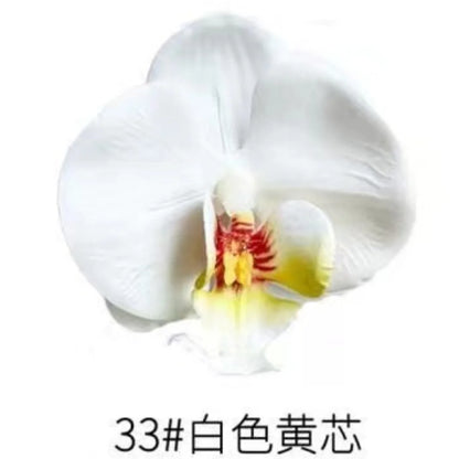 Phalaenopsis Plant flowers Handmade DIY, balcony decoration.Clivia gift