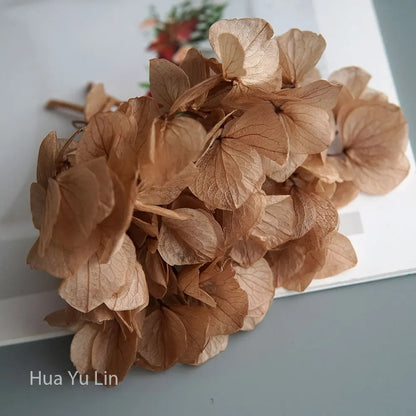 Big Petals Macrophylla Hydrangea Preserved Flower DIY Earrings and Scented Candles Material For Gutta Percha Resin Home Decor