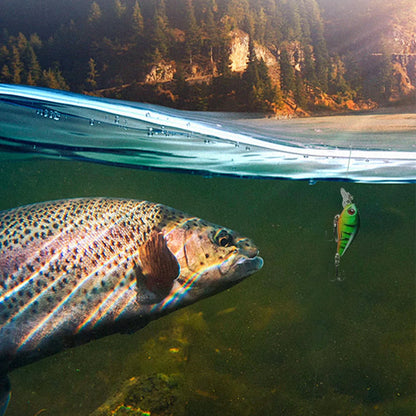 24 Days Fishing Lures Set Fishing Lure Advent Calendar Xmas Surprise Fish Bait Gift for Fishing Lovers Father Boyfriend Brother