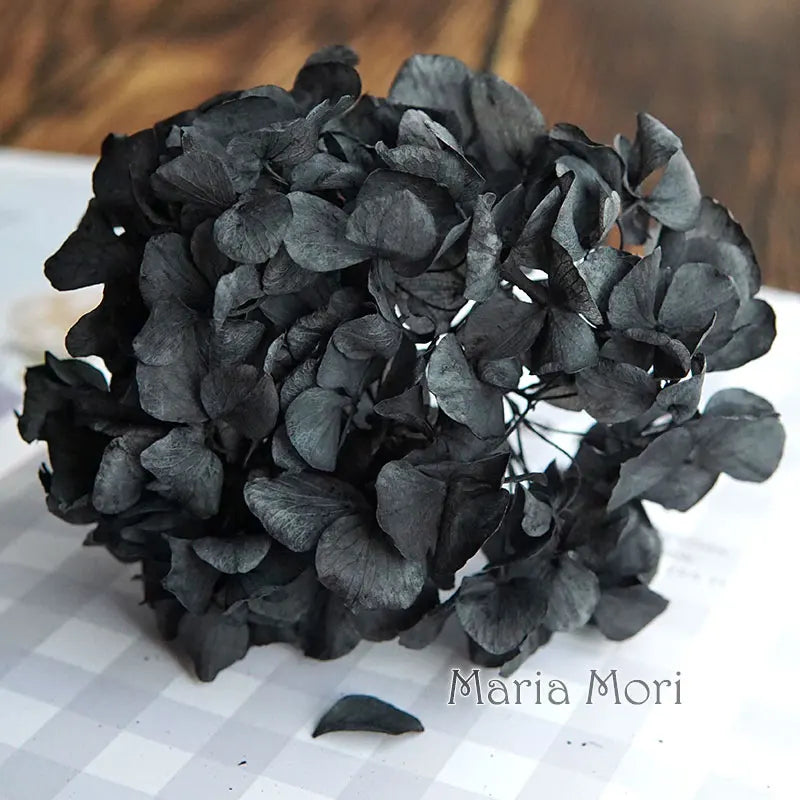 Big Petals Macrophylla Hydrangea Preserved Flower DIY Earrings and Scented Candles Material For Gutta Percha Resin Home Decor