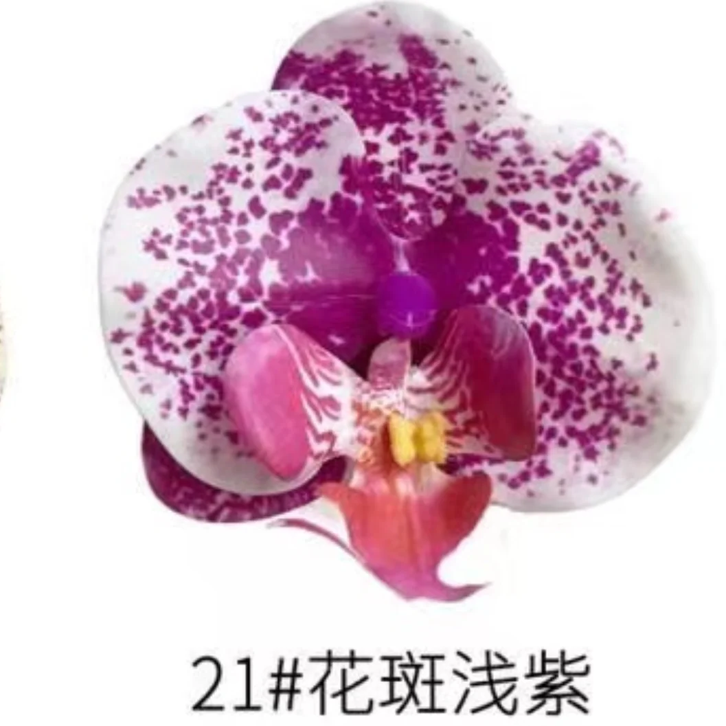 Phalaenopsis Plant flowers Handmade DIY, balcony decoration.Clivia gift