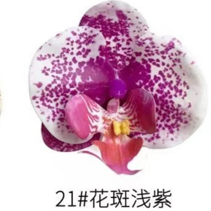 Phalaenopsis Plant flowers Handmade DIY, balcony decoration.Clivia gift