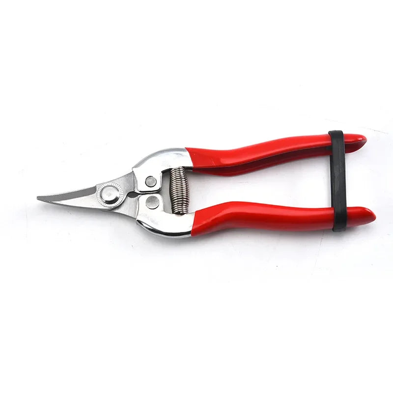Stainless Steel Pruning Scissors Gardening Scissors Household Fruit Picking Grape Scissors Garden Branch Pruning Tools