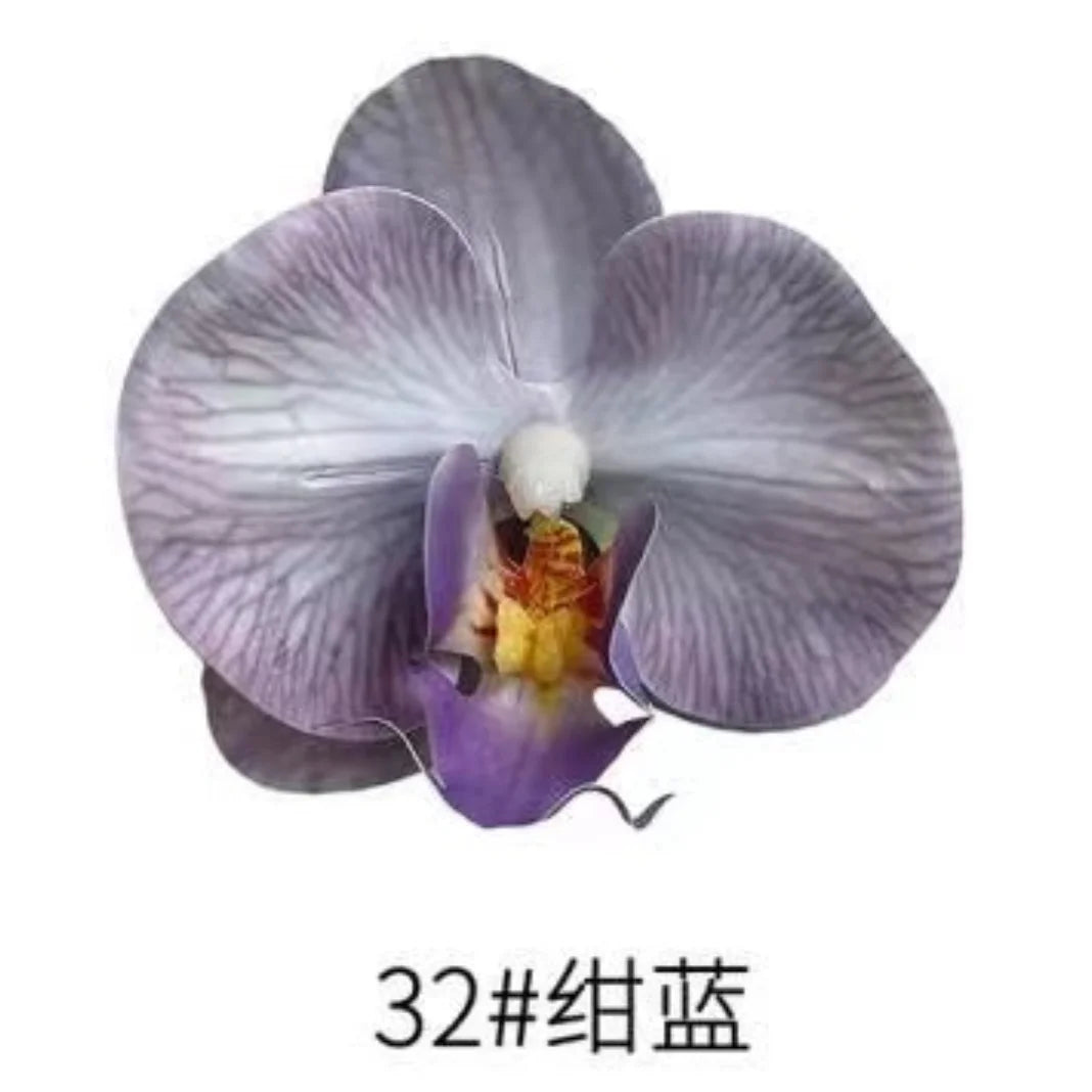 Phalaenopsis Plant flowers Handmade DIY, balcony decoration.Clivia gift