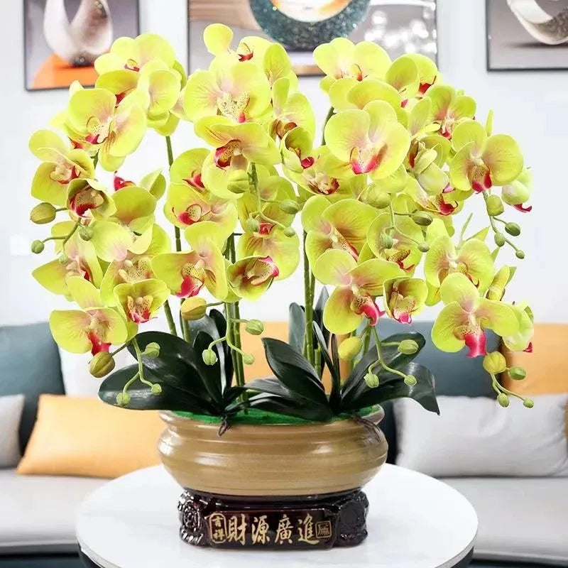 Phalaenopsis Plant flowers Handmade DIY, balcony decoration.Clivia gift