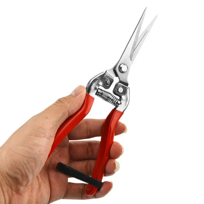 Stainless Steel Pruning Scissors Gardening Scissors Household Fruit Picking Grape Scissors Garden Branch Pruning Tools
