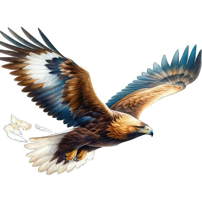 Three Ratels QN20 soaring eagle wall sticker art for home decoration