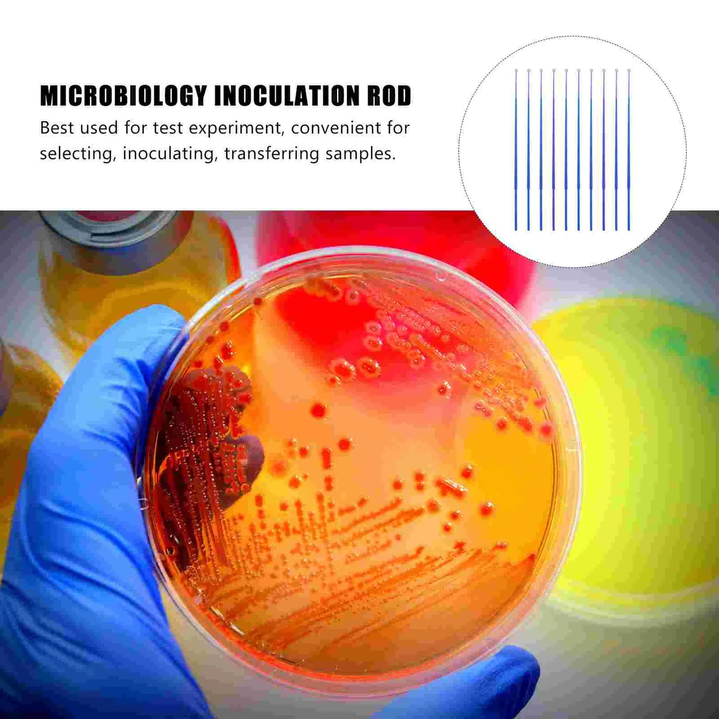 20 Pcs Inoculating Stick Microbiology Inoculation Rods Laboratory Tool Petri Dish Culture Plate Lab Equipment Science Experiment