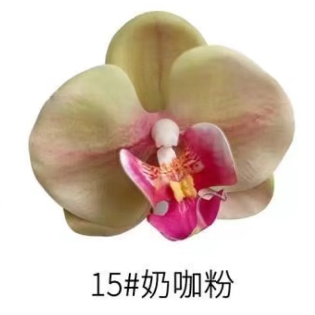 Phalaenopsis Plant flowers Handmade DIY, balcony decoration.Clivia gift