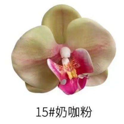 Phalaenopsis Plant flowers Handmade DIY, balcony decoration.Clivia gift