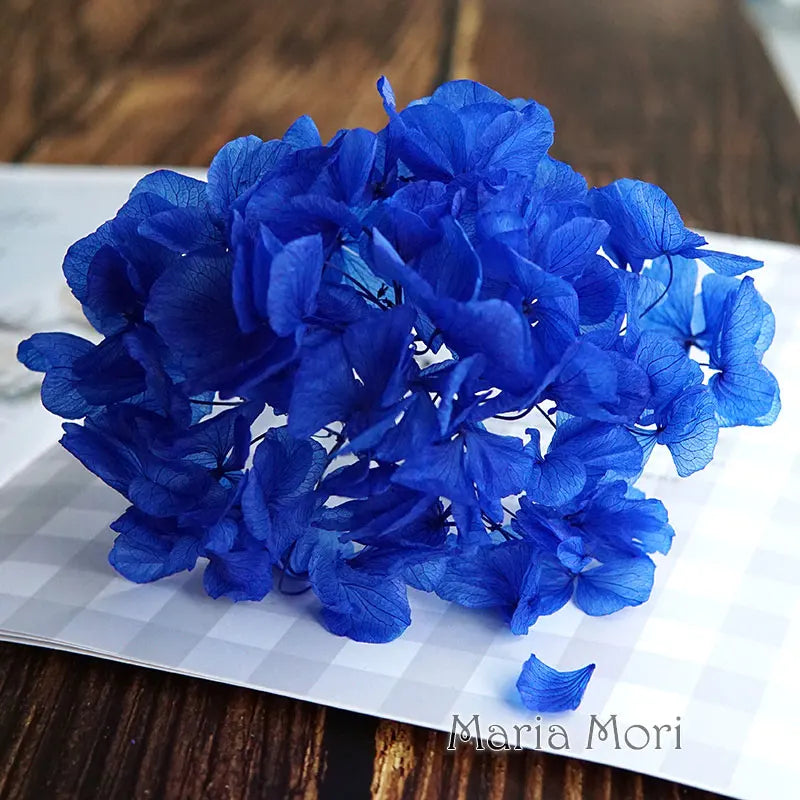 Big Petals Macrophylla Hydrangea Preserved Flower DIY Earrings and Scented Candles Material For Gutta Percha Resin Home Decor