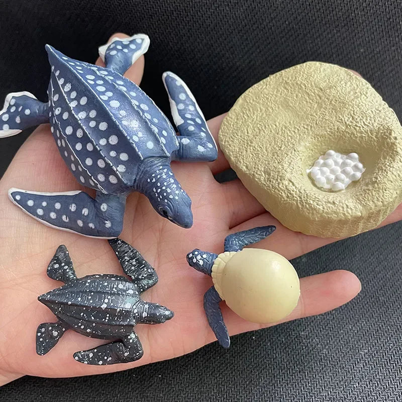 Children Simulation Biology Model Toy Animal Plant Life Growth Cycle Montessori Children Toys Set Teaching Aids Educational Toys