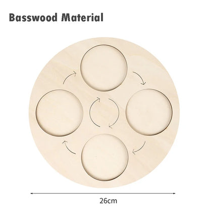 Children Simulation Biology Model Toy Animal Plant Life Growth Cycle Montessori Children Toys Set Teaching Aids Educational Toys