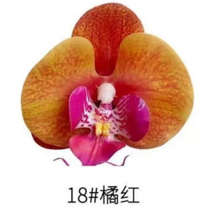 Phalaenopsis Plant flowers Handmade DIY, balcony decoration.Clivia gift