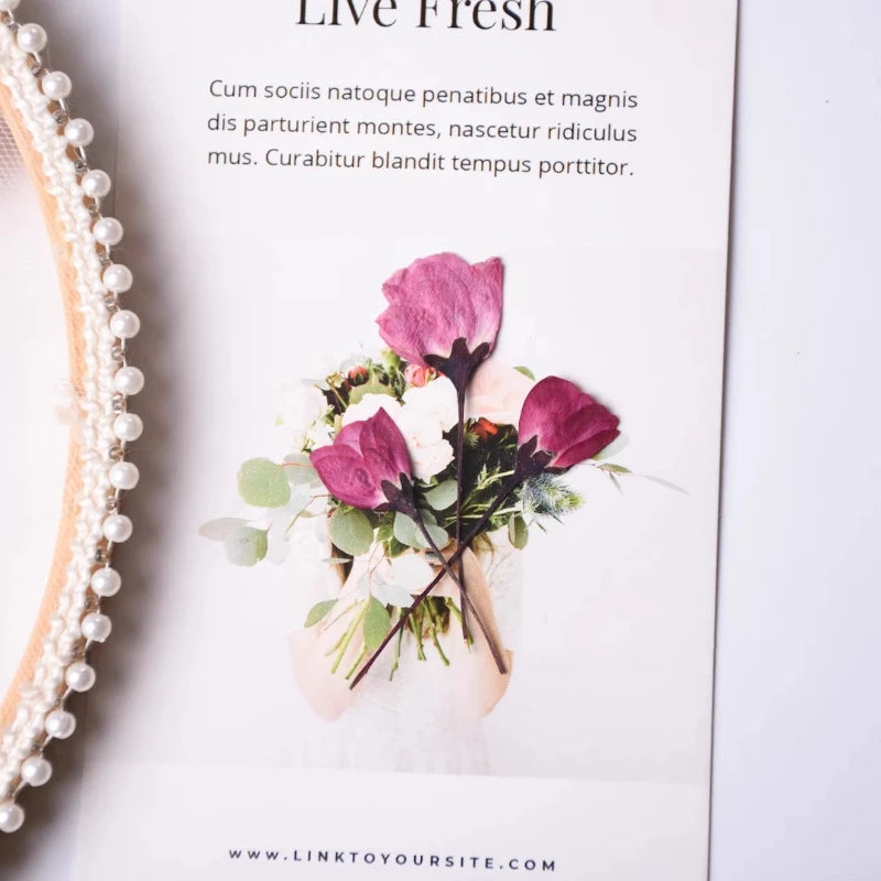 12pcs,Nature Pressed Flower Cherry Blossoms Begonia Buds Dry Flowers DIY Epoxy Phone Case Coaster Greeting Card Petal Makeup