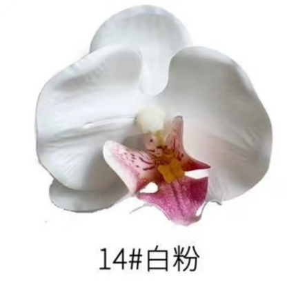 Phalaenopsis Plant flowers Handmade DIY, balcony decoration.Clivia gift