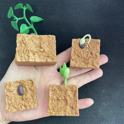 Children Simulation Biology Model Toy Animal Plant Life Growth Cycle Montessori Children Toys Set Teaching Aids Educational Toys