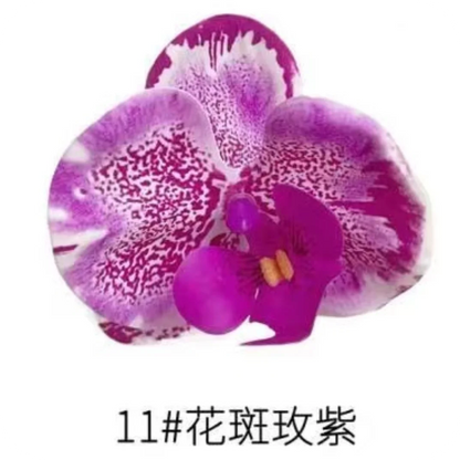 Phalaenopsis Plant flowers Handmade DIY, balcony decoration.Clivia gift