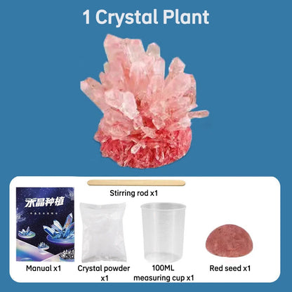 Magic Crystal Growing Kit Crystal Scientific Experiment Puzzle Educational Stress Relief Toy for Kids