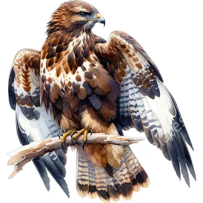 Three Ratels QN20 soaring eagle wall sticker art for home decoration