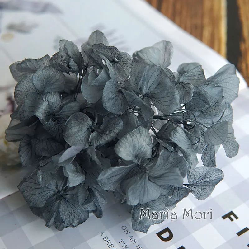 Big Petals Macrophylla Hydrangea Preserved Flower DIY Earrings and Scented Candles Material For Gutta Percha Resin Home Decor