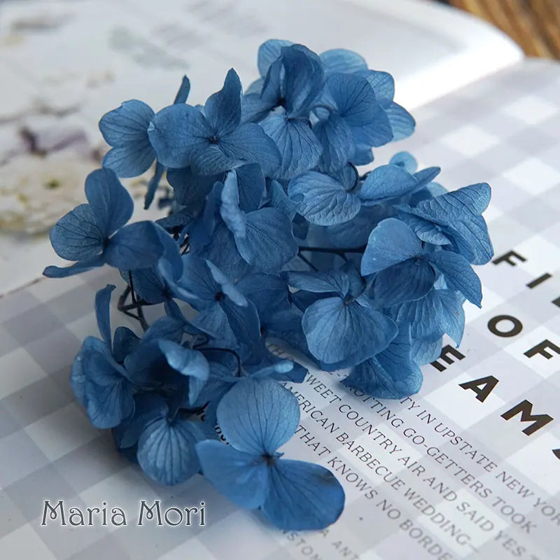 Big Petals Macrophylla Hydrangea Preserved Flower DIY Earrings and Scented Candles Material For Gutta Percha Resin Home Decor
