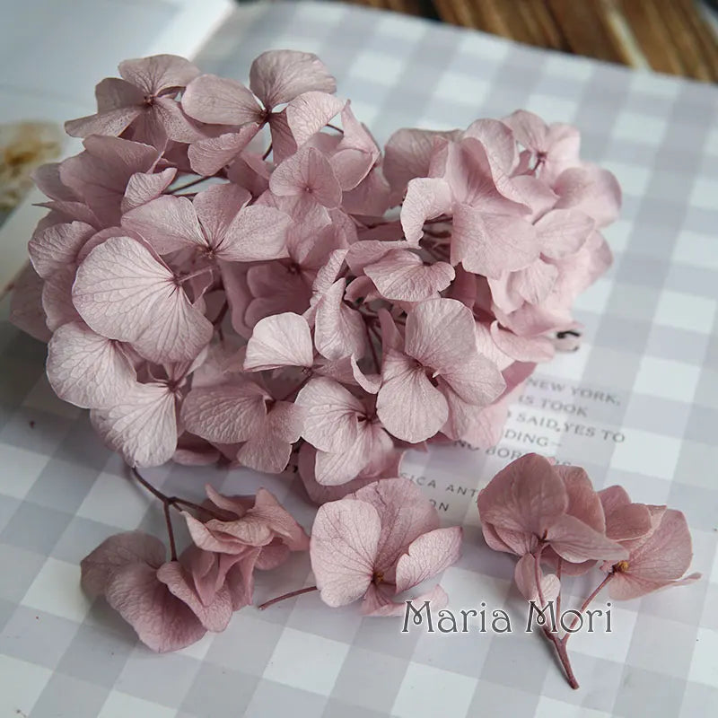 Big Petals Macrophylla Hydrangea Preserved Flower DIY Earrings and Scented Candles Material For Gutta Percha Resin Home Decor